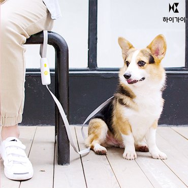 하이가이 강아지 핸즈프리 리드줄 반려견 산책줄 소형견 대형견