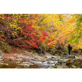 [당일/10~11월] 10봉 오대산 노인봉 & 소금강계곡 종주 산행│백두대간 36 하라