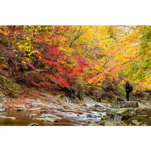 https://media.eoding.com/media/travelagent/40/imagecontent/tip250t009451 (1).jpg
