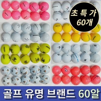 타이틀리스트 60개 유명 골프 브랜드 컬러 화이트 2피스 3피스 a b c 급 중고 정품 로스트 볼 공