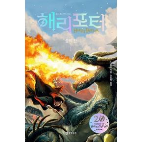 해리 포터와 불의 잔 1(해리포터 20주년 개정판)