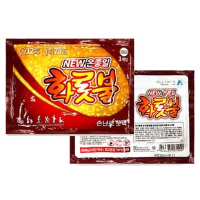온종일화롯불 포켓용 손난로 핫팩 80g 주머니핫팩