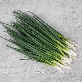 전남 고흥 손질 쪽파 2kg