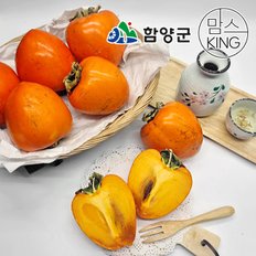 해올림푸드 지리산 대봉감 4.5kg(12-15과)