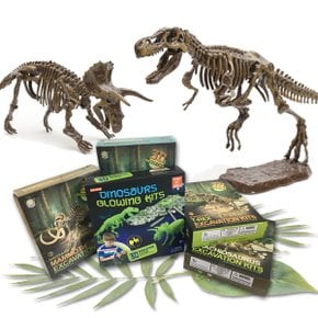 공룡화석발굴 놀이 키트 뼈발굴 장난감