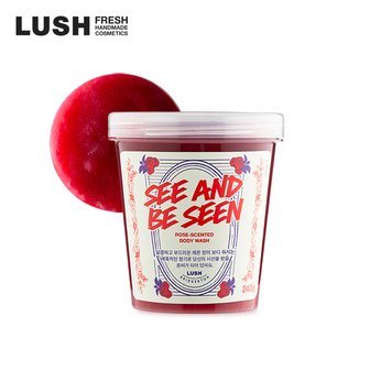 LUSH [공식][러쉬ㅣ브리저튼] 씨 앤드 비 씬 240g - 보디 워시/바디 워시