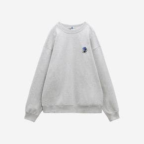 자라 x 아더에러 오버사이즈 스웨트셔츠 그레이 Zara x Ader Error Oversize Sweatshirt Grey