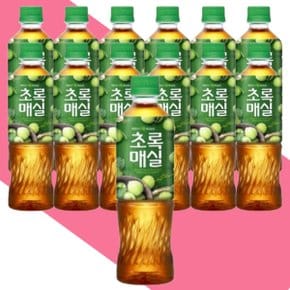 초록매실 500ml 10개