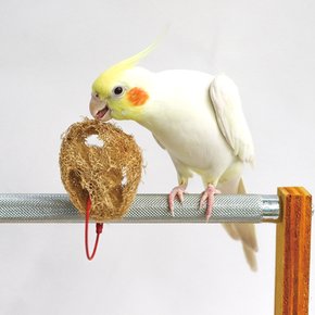 슬라이스 수세미 10P 엥무새 장난감 놀이 용품
