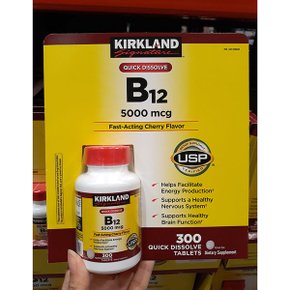 비타민 B12 5000mcg 300정