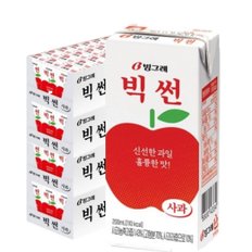 빙그레 빅썬 사과 음료 200ml (96팩) 과채주스