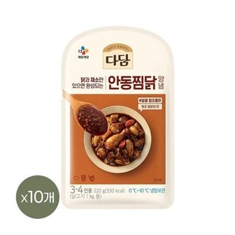 CJ제일제당 다담 안동찜닭 양념 220g x10개