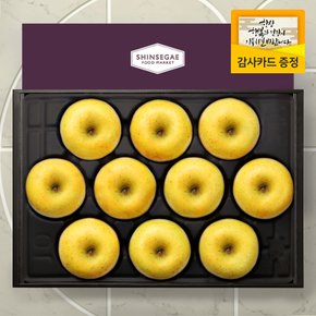 [명절이후 순차출고][산지직송] 가든 5호 과일 선물세트 시나노골드 사과 대과 10-13입 5kg (보자기 포장)