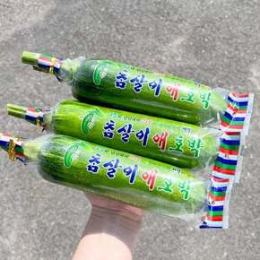 국내산 가정용 못난이 애호박 인큐애호박 20개