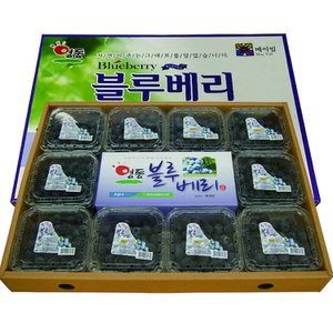  [영동 블루베리농장] 햇 블루베리 (특) 1kg  선물용 (100g x 10팩)