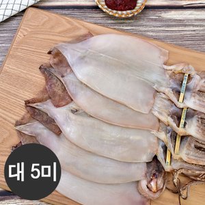  옥도건어물 최상품 반건조오징어 5미(아이스박스포장)