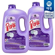 [애경]울샴푸 퍼플라일락 3L x2개