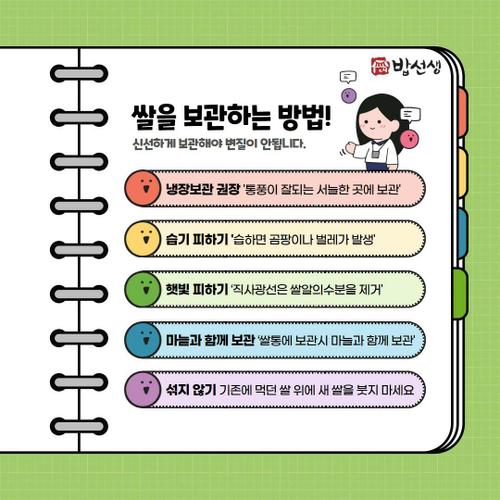 이미지 DP