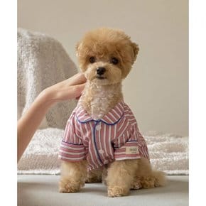 도씨 DOSSY 실크핏 피오니 펫 잠옷 370855