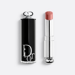 DIOR 디올 어딕트 립스틱 100 누드 룩스