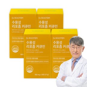 닥터루템 수용성 리포좀 커큐민 리포조말 강황 분말 4박스