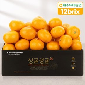 [9/16 순차출고] [제주위미농협] 당도선별 12brix 프리미엄 하우스감귤 2.5kg