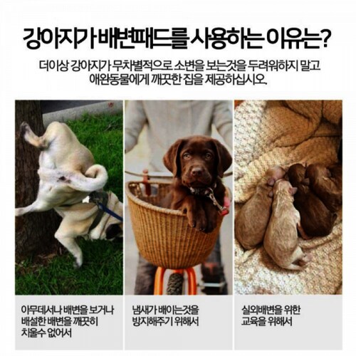 상품이미지3