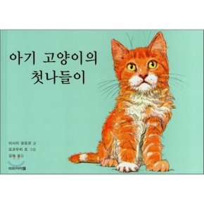 아기 고양이의 첫나들이