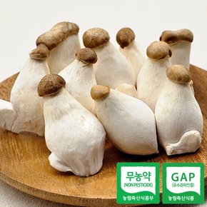 무농약 GAP인증 새송이버섯 미니 2kg