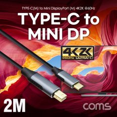 USB 3.1 C to Mini DP 케이블 2M JA017