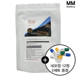  네오 에너지 빅피쉬 500ml/200g