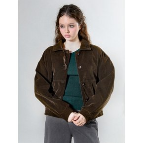 Everyday Velvet Jacket (BROWN)