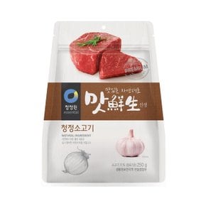 청정원 맛선생 청정소고기 250g x 4개