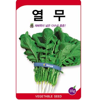  소문난 열무씨앗 10g