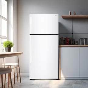 [LG전자 직영] LG 일반냉장고 B502W33 (507L)(희망일)