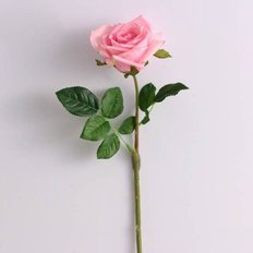  로맨틱 느낌 베이직 핑크톤 산뜻한 컬러 장미 조화 (WEFF46B)