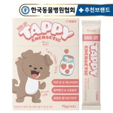 타먹는 강아지 비타민 테피 딸기요거트맛 70g 14개입 활력증진 음수량 증진 에너지워터