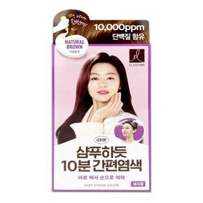 [뷰티풀마인드] 엘라스틴 10분 간편염색약 새치용 자연갈색4회분-O (S11516069)