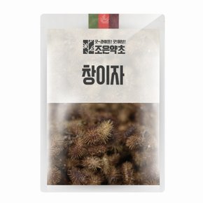 창이자(도꼬마리) 300g