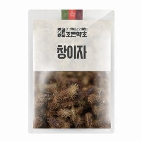 창이자(도꼬마리) 300g