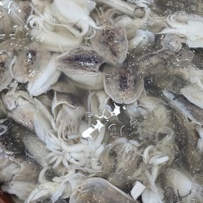 제철 손질 생물 갑오징어 800g