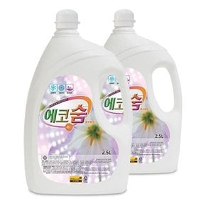 섬유탈취제 에코숨 플로랄향 2.5L 2개 생활악취제거 (WB3848B)