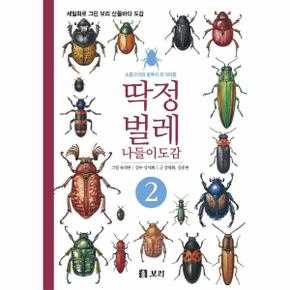 딱정벌레 나들이도감 2 : 소똥구리와 꽃무지 외 193종 - 세밀화로 그린 보리 산들바다 도감