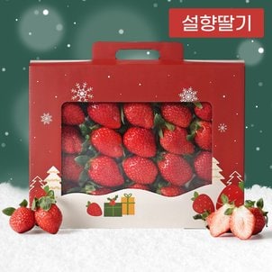 라라르떼 설향딸기 500g 선물세트