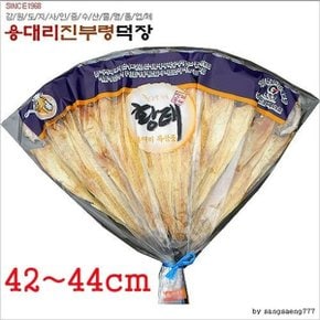 용대리 진부령 덕장 황태포 10마리 42-44cm