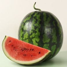인정식탁 [후레쉬데이] 달콤하고 시원한 국내산 꿀 수박 1통 (4~5kg 내외)
