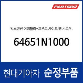 익스텐션-프론트 사이드 멤버 로우, (64651N1000) 디올뉴 그랜저, 디올뉴 그랜저 하이브리드