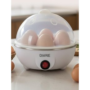 디엔 아우라 에그 스티머 DN-999EG