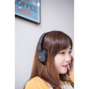 소니 스테레오 헤드폰 MDRZX110APBC / 마이크 포함 /