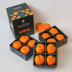 레드향 2kg (9~15과)